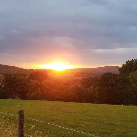 Eifel Kaminhaus Ambiente Villa Nideggen Kültér fotó