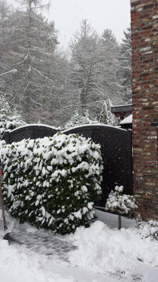 Eifel Kaminhaus Ambiente Villa Nideggen Kültér fotó