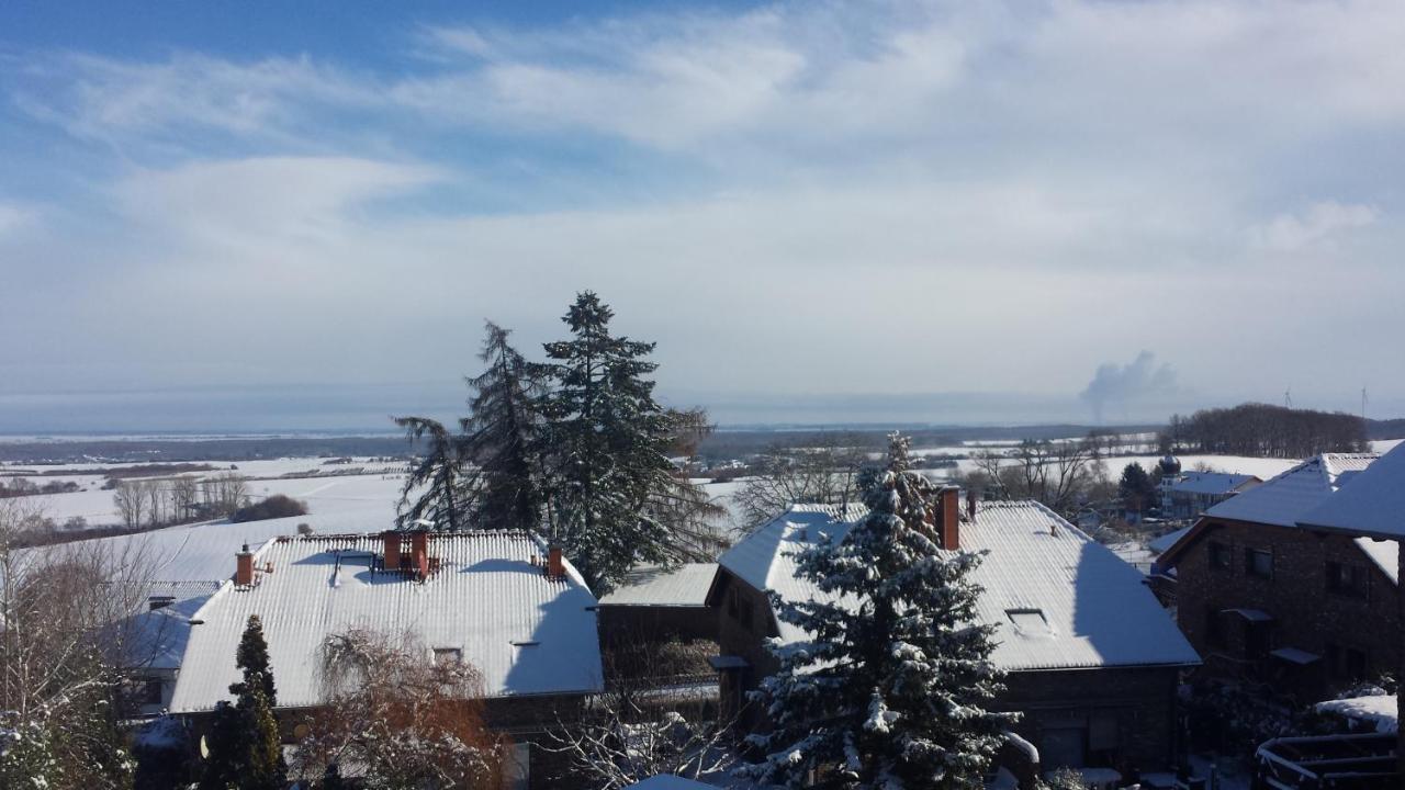 Eifel Kaminhaus Ambiente Villa Nideggen Kültér fotó