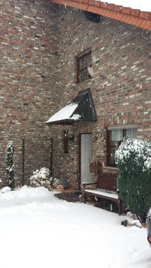 Eifel Kaminhaus Ambiente Villa Nideggen Kültér fotó