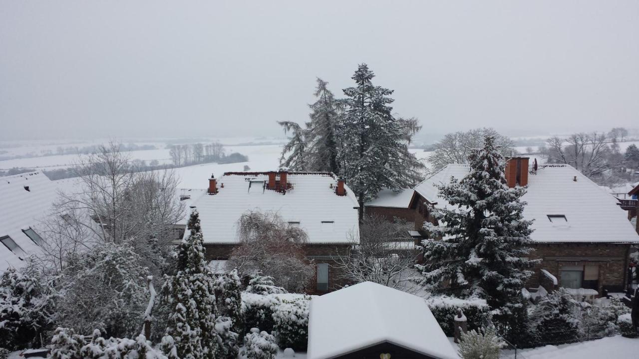 Eifel Kaminhaus Ambiente Villa Nideggen Kültér fotó