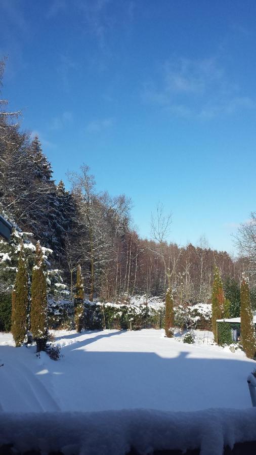 Eifel Kaminhaus Ambiente Villa Nideggen Kültér fotó