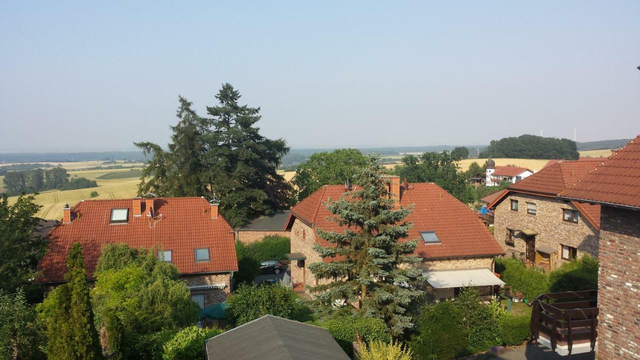 Eifel Kaminhaus Ambiente Villa Nideggen Kültér fotó