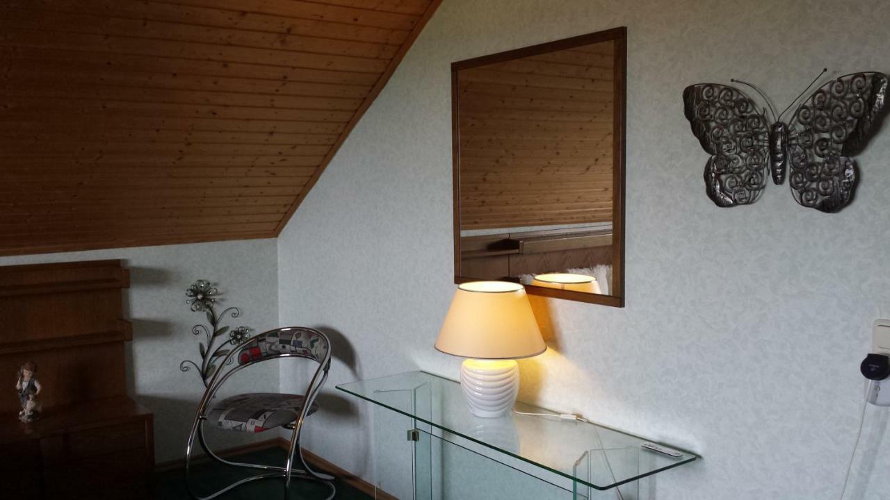 Eifel Kaminhaus Ambiente Villa Nideggen Kültér fotó