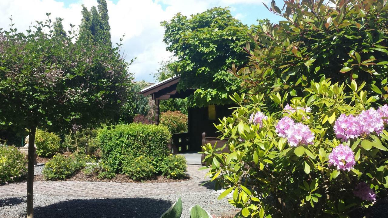 Eifel Kaminhaus Ambiente Villa Nideggen Kültér fotó